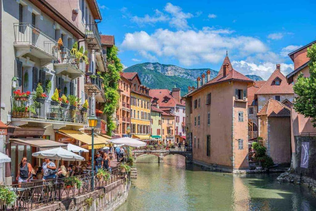 La Perle Du Thiou - Charmant T3 Au Centre D'Annecy Avec Parking Prive Esterno foto